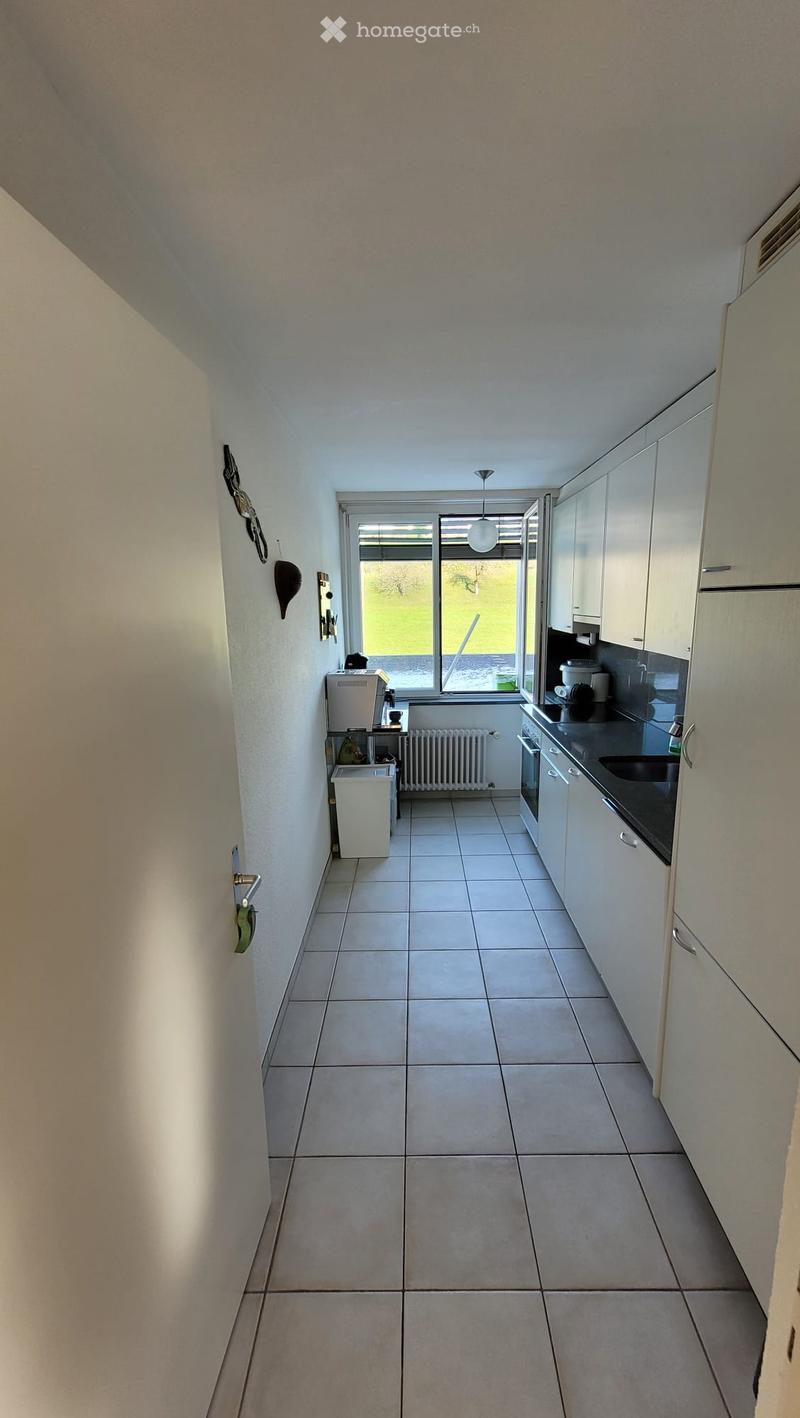 Gemütliche 3- Zimmer Wohnung mit grosser Terrasse (4)