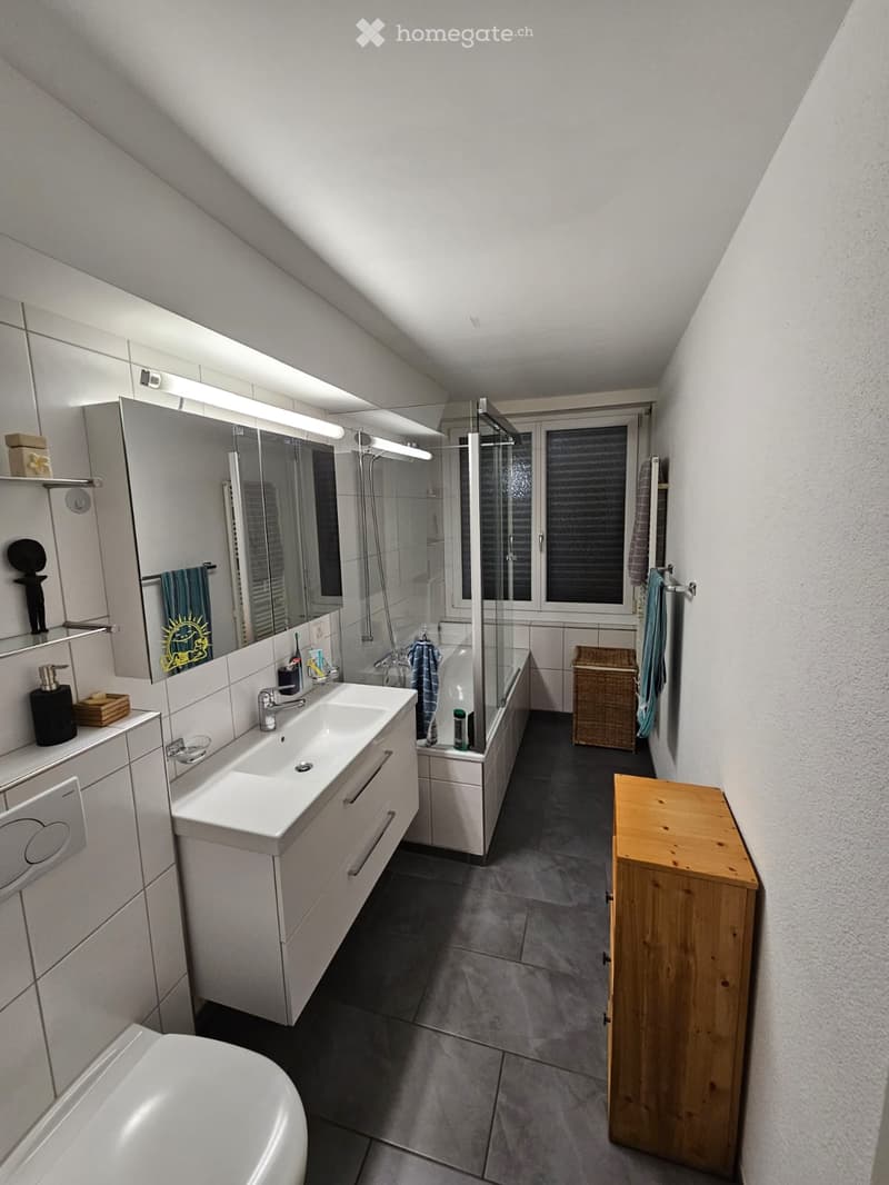 Gemütliche 3- Zimmer Wohnung mit grosser Terrasse (5)