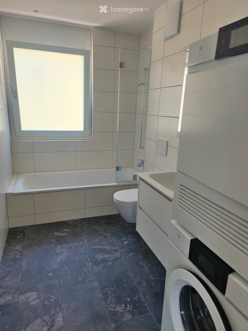 Modern bathroom with a bathtub, toilet, sink, washing machine, and a glass-enclosed shower. The room features tiled walls and a dark tiled floor.