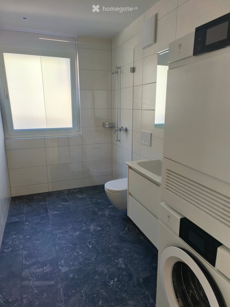Modern bathroom with dark tiled floor, white tiled walls, a toilet, a sink, a washing machine, and a glass-enclosed shower area.