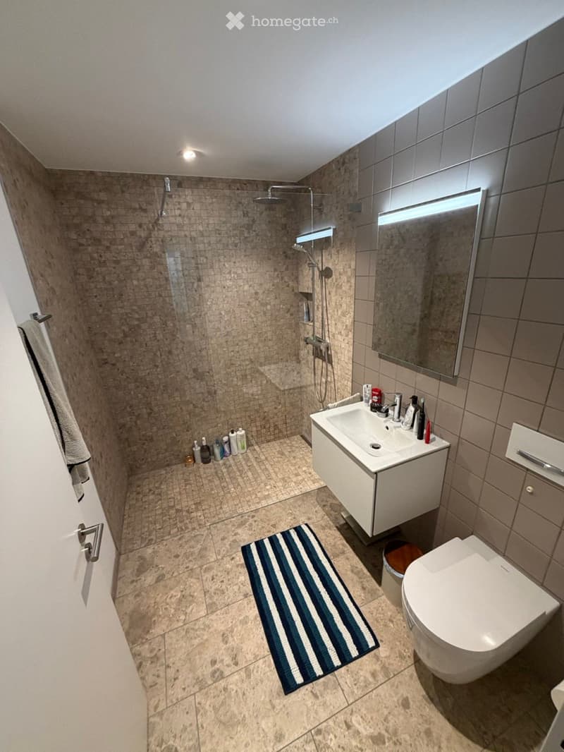Modern bathroom with a large shower, sink, toilet, and a large mirror. The floor is tiled, and there is a blue and white striped rug in front of the sink.