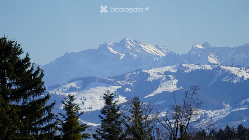 Snow-covered mountain range with clear blue sky, surrounded by evergreen trees in the foreground.