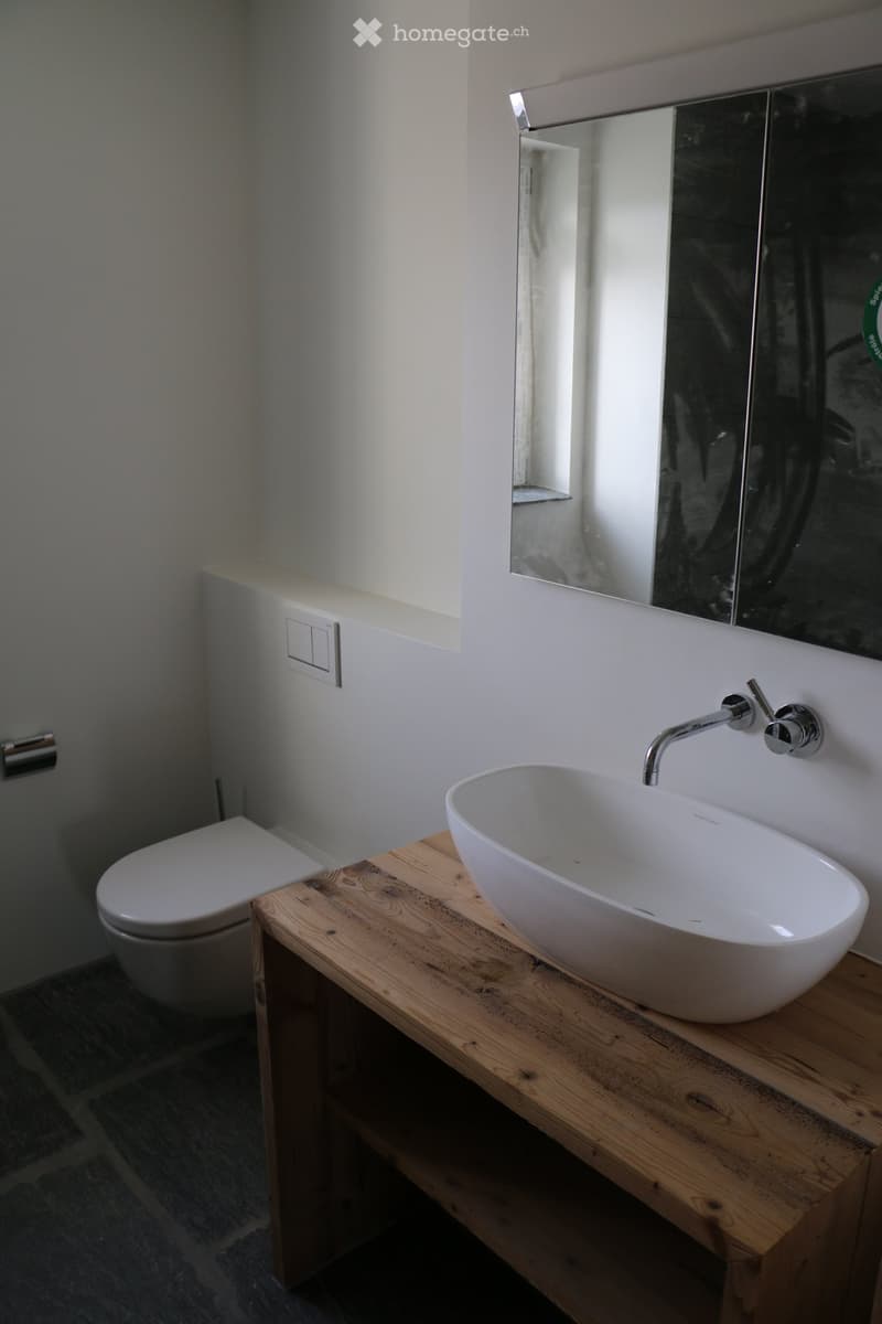 Modern bathroom with a white sink on a wooden vanity, a sleek faucet, a toilet, and a large mirror above the sink.