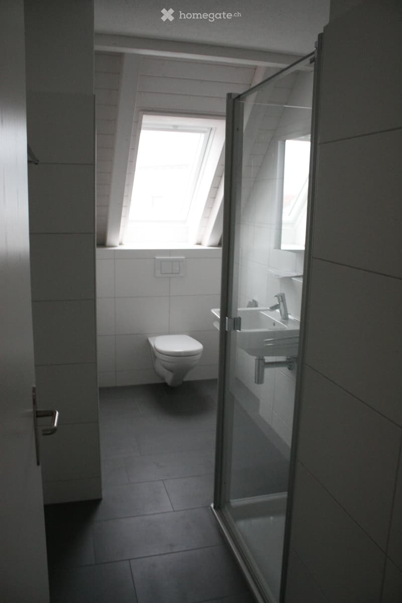 Modern bathroom with a toilet, sink, and glass shower enclosure. The space features tiled walls and floor, with a skylight providing natural light.
