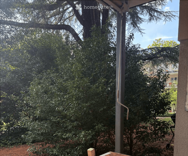 A lush garden area visible through a window, with dense foliage, trees, and a clear blue sky in the background.