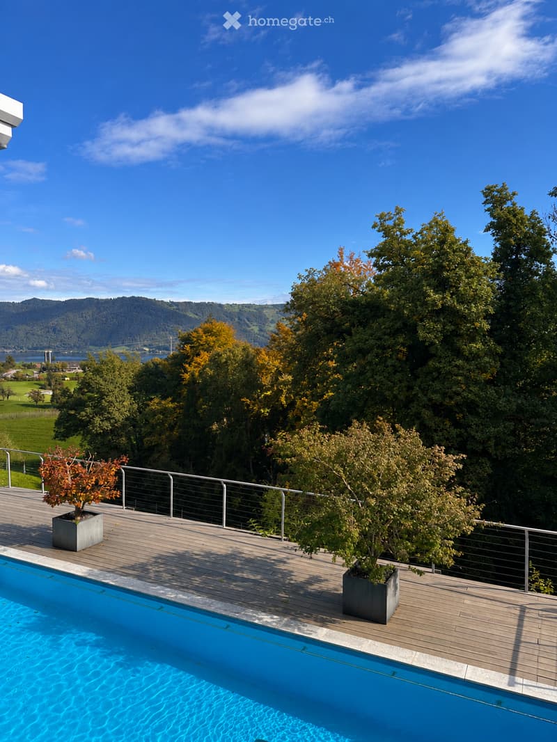 A wooden deck with a swimming pool, surrounded by potted plants and a metal railing, overlooking a scenic landscape with trees and a body of water.