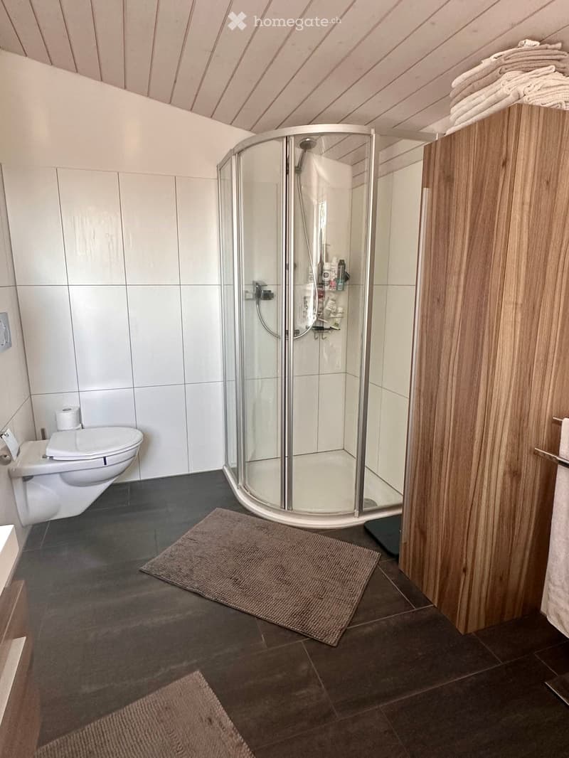 Modern bathroom with a glass-enclosed shower, toilet, wooden cabinet, and two rugs on the dark tiled floor.