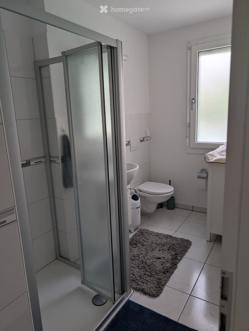 Modern bathroom with white tiles, a glass-enclosed shower, a toilet, a sink, a mirror, and a small rug on the floor.