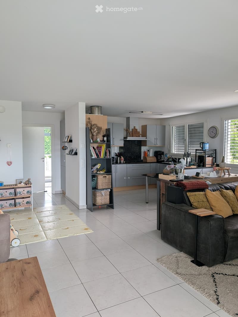 Open-plan living and dining area with a grey sofa, coffee table, kitchen area with cabinets, and a bookshelf with books and decorative items.