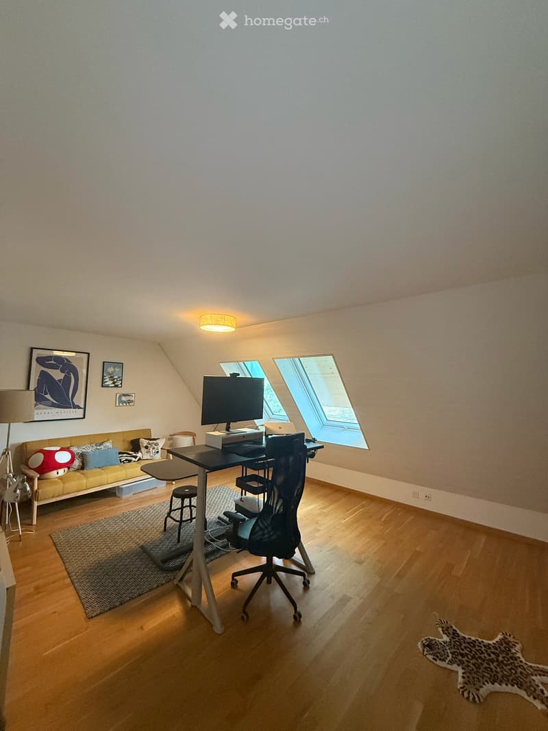 Helle 171 m² 4.5-Zimmer-Wohnung mit Cheminée und Balkon, mitten in Luzern (4)