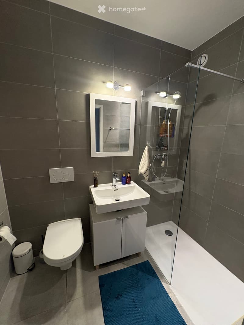 Modern bathroom with dark grey tiles, white sink, toilet, bathtub, and a blue bath mat.