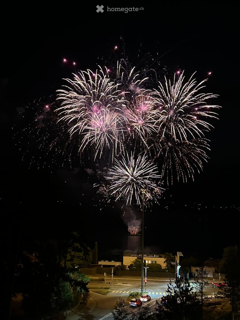 Fireworks display in the night sky over a road with cars and buildings in the background.