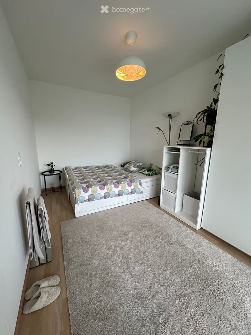 Cozy bedroom with a white bed, colorful bedding, a nightstand with a lamp, a storage unit, and a large rug on the floor.