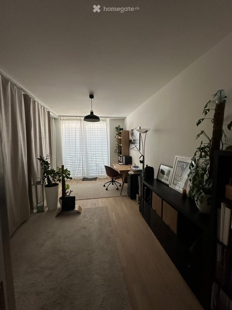 A well-lit living space with wooden flooring, a large window with curtains, a desk with a chair, a cabinet with plants, and a framed picture on the wall.