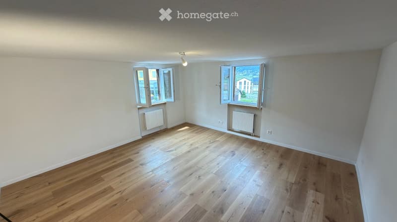 Empty room with wooden flooring, white walls, and two windows with open shutters. Radiators are visible beneath the windows.
