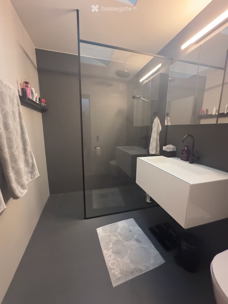 Modern bathroom with dark walls, white sink, large mirror, glass-enclosed shower, and a towel on the floor.