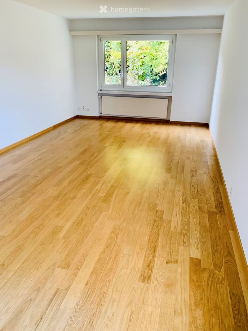 Unfurnished Room. Empty room with light wooden flooring, white walls, and a large window with a view of greenery. A radiator is visible below the window.