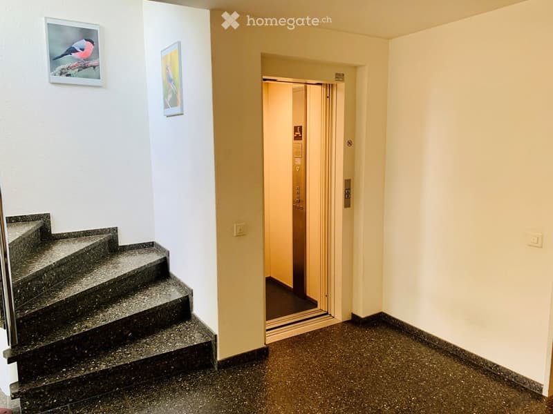 Corridor / Hallway. Hallway with a staircase leading up, elevator access, and framed bird artwork on the walls.
