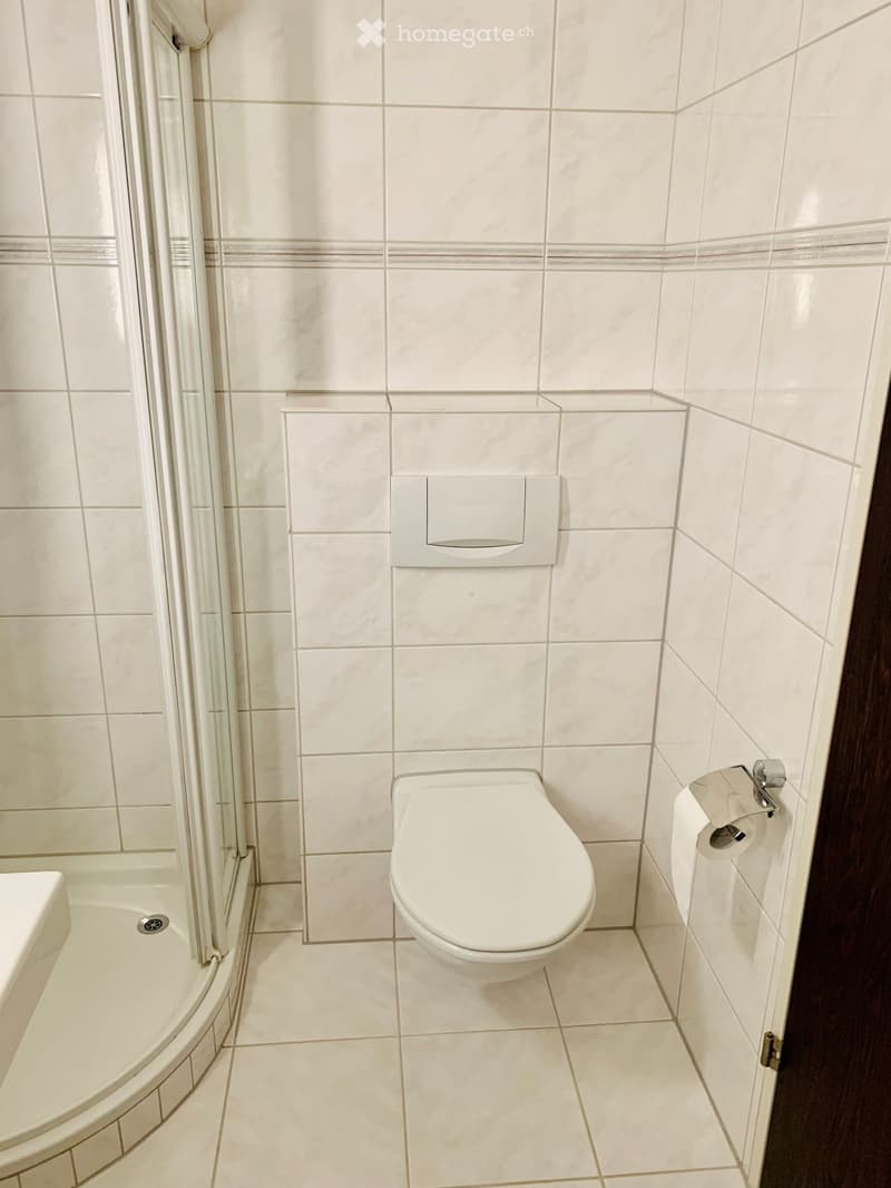 Bathroom. Modern bathroom with white tiled walls and floor, featuring a toilet, toilet paper holder, and a shower area with a glass door.