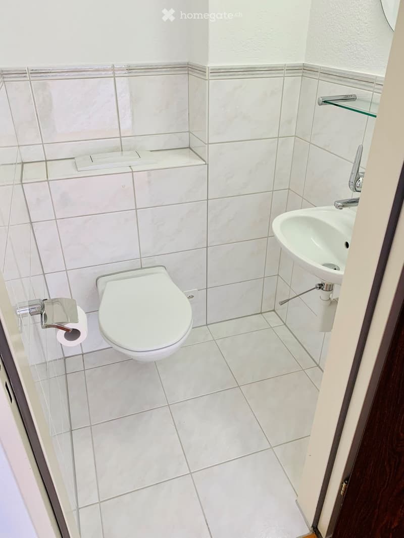 Bathroom. Modern bathroom with white tiles, a toilet, a sink, and a toilet paper holder. The sink has a modern faucet and a glass shelf above it.