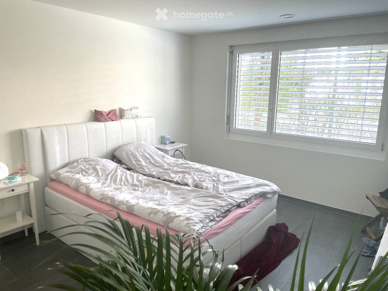 Modern bedroom with a large white upholstered bed, two pillows, a nightstand with a lamp, and a plant in the foreground.