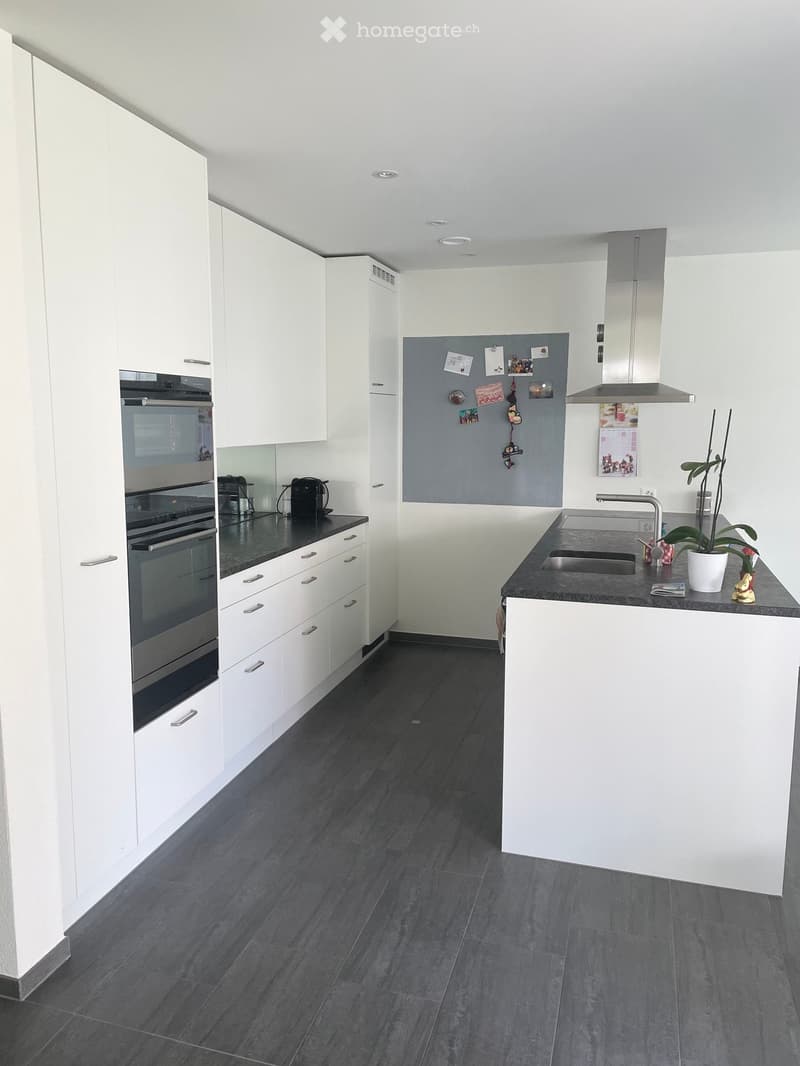 Modern kitchen with white cabinets, dark countertops, stainless steel oven, sink, and a small plant on the counter.