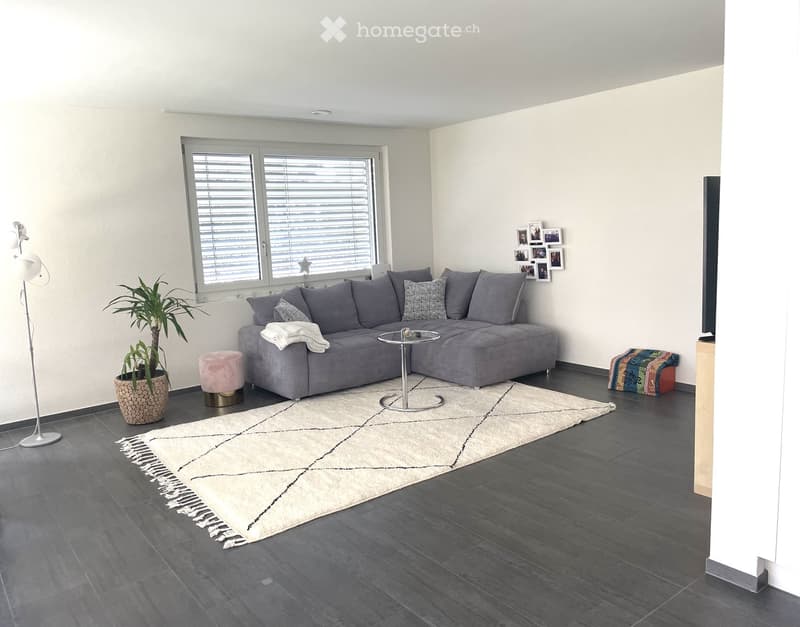 Modern living room with grey sectional sofa, coffee table, floor lamp, potted plant, and decorative rug on dark flooring.