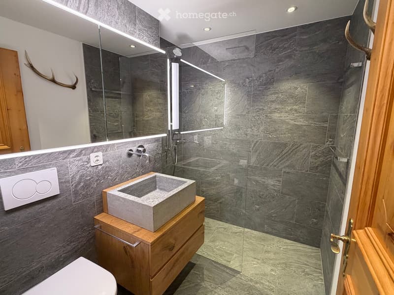 Modern bathroom with grey marble tiles, a wooden vanity with a stone sink, a toilet, and a glass-enclosed shower area.