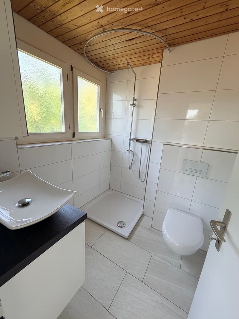 Modern bathroom with white tiles, a large sink, toilet, and walk-in shower with glass enclosure. Features a sleek wooden ceiling and large windows.