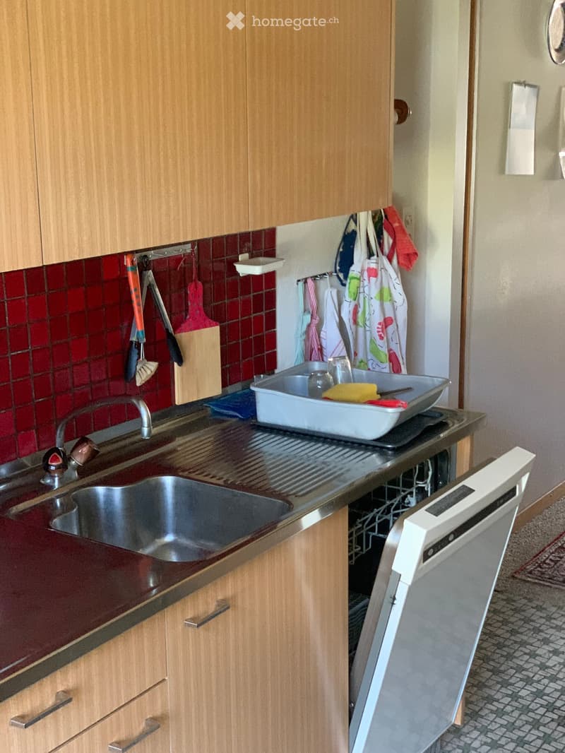 Modern kitchen with wooden cabinets, stainless steel sink, dishwasher, and various kitchen utensils on display.