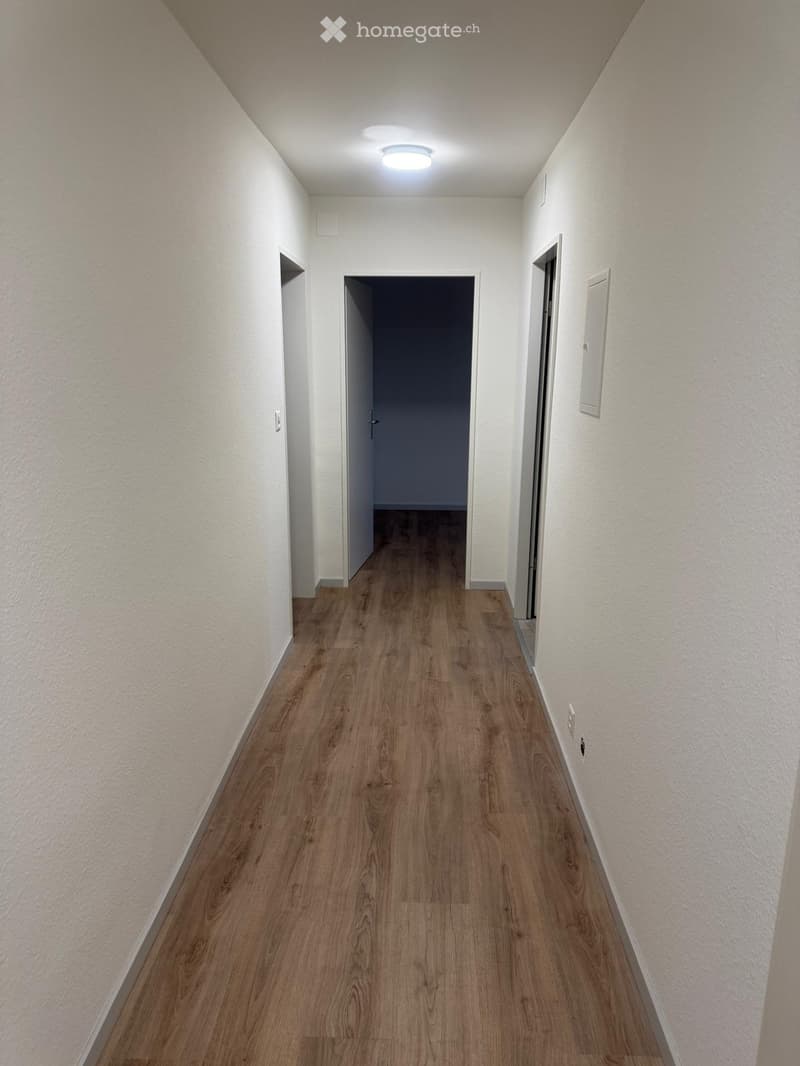 Empty corridor, three doors, wooden floor, ceiling lamp