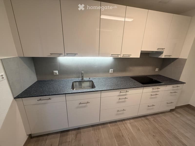 Modern kitchen with white cabinets, granite countertops, under-cabinet lighting, stainless steel sink and faucet, and a black induction stove.