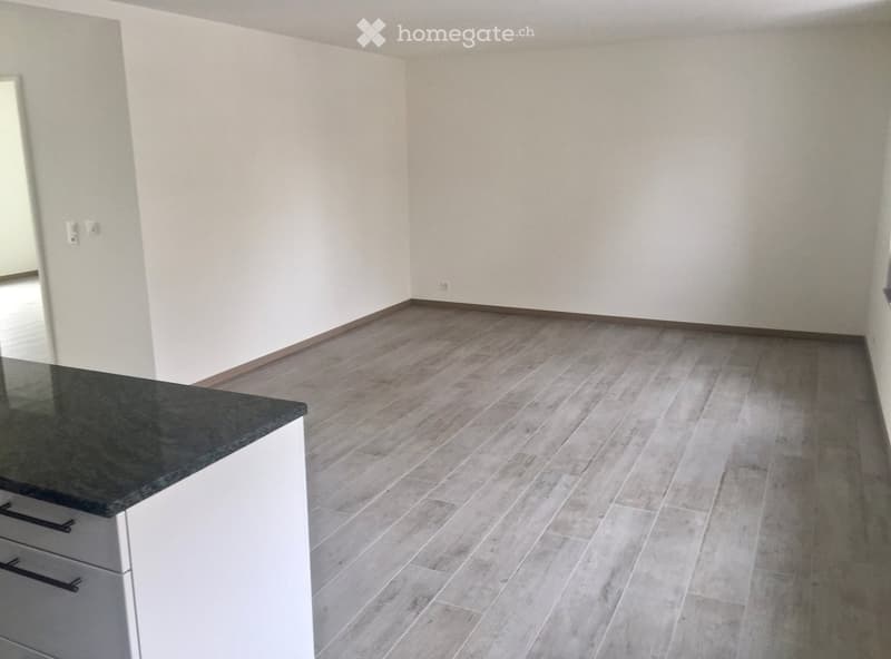 Empty kitchen with light-colored walls, wooden flooring, and a white cabinet with a black countertop.