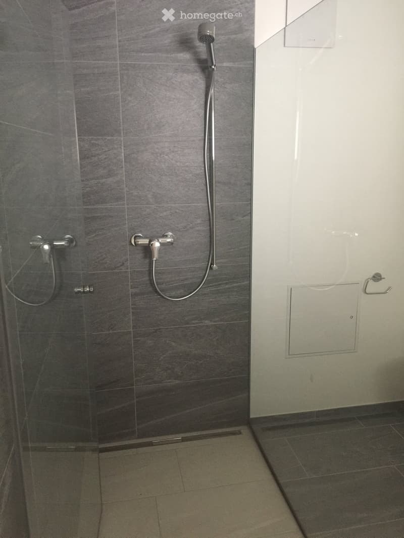 Modern shower area with grey tiled walls, a handheld showerhead, and a fixed faucet.