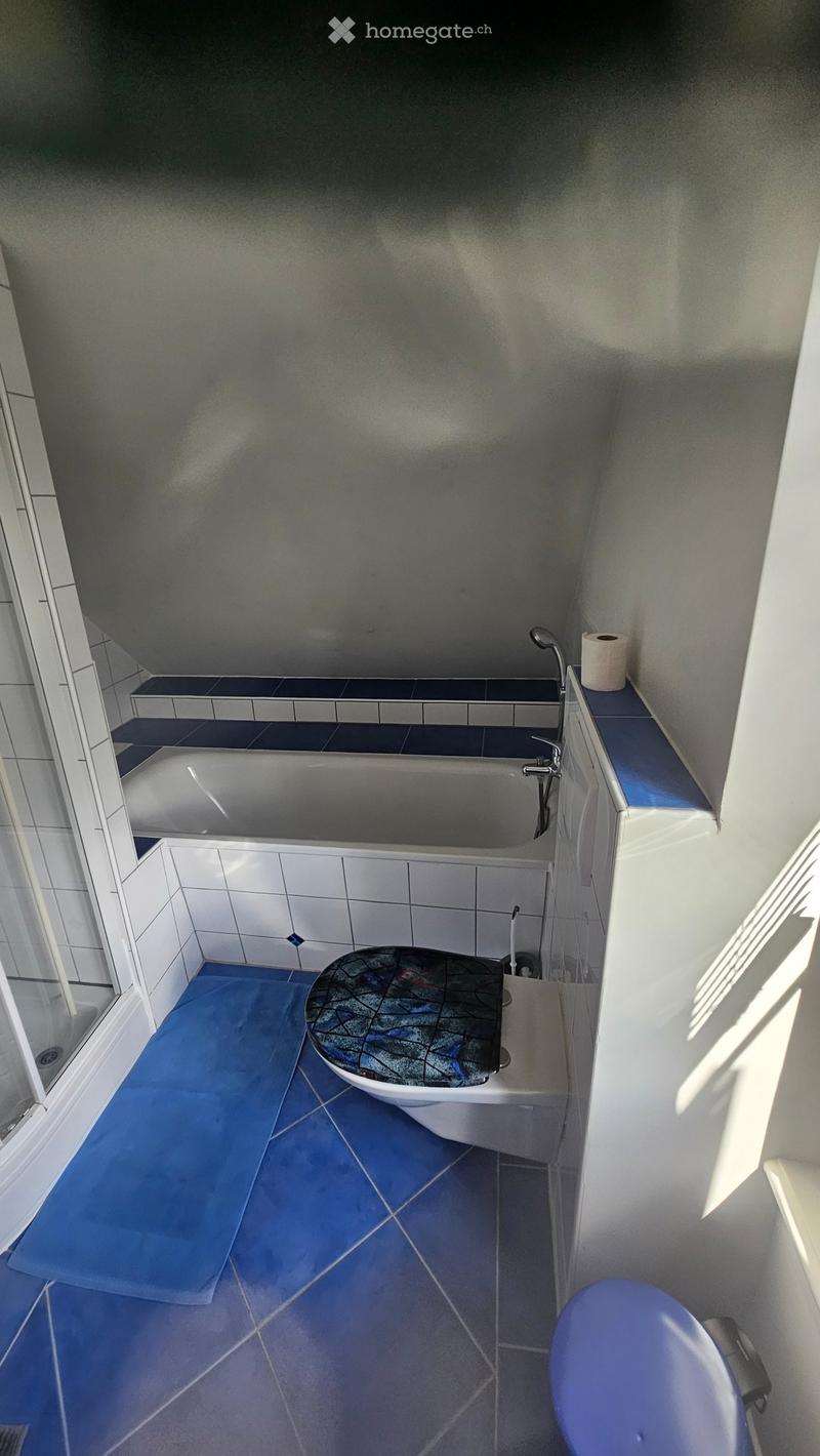 white bathtub, blue tiles, white and blue ceramic, shower, toilet, sink, blue rugs