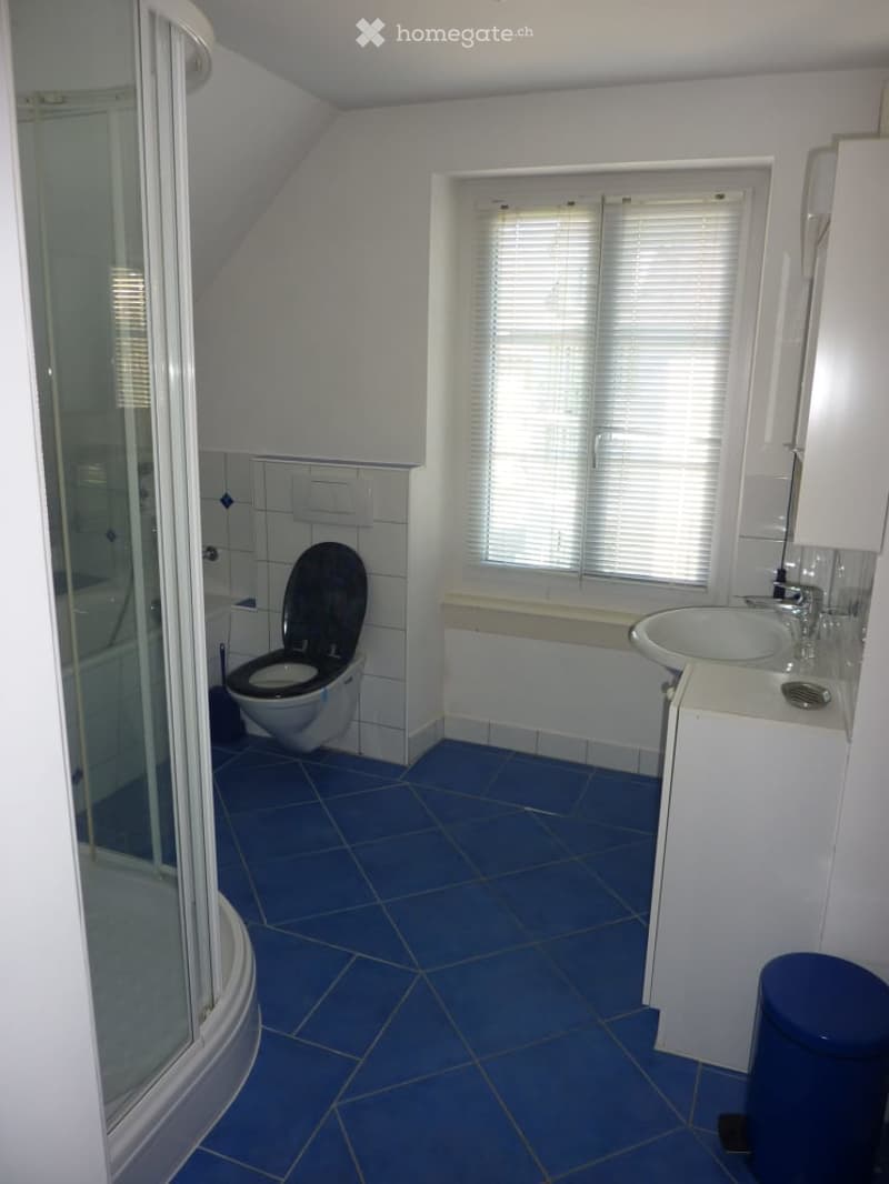 blue tiles, glass shower enclosure, white toilet, white sink, window with blinds