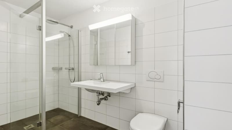 Modern bathroom with white tiles, a glass-enclosed shower, a white sink with a mirror, and a toilet.