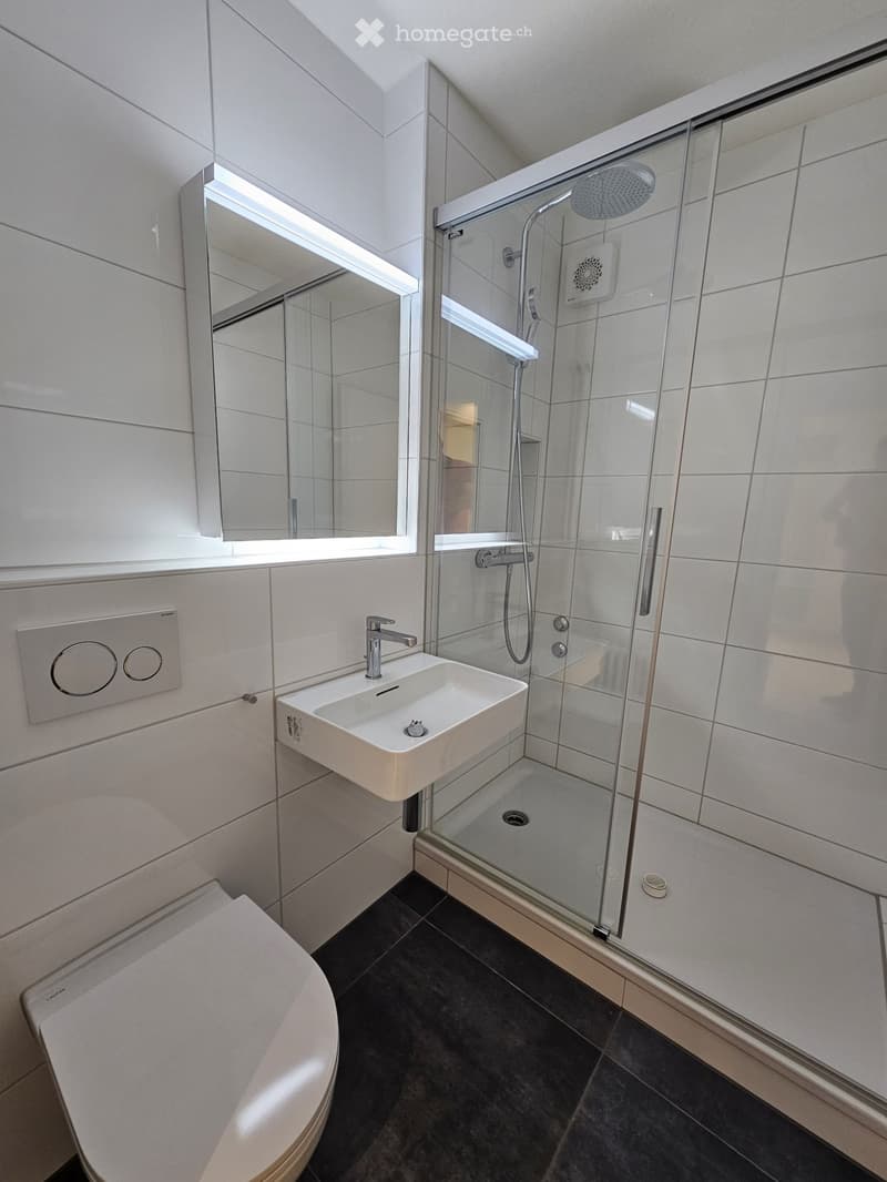 {"visible_features":["Shower"],"type":"Bathroom","description":"The image shows a modern bathroom with a glass shower enclosure, a white sink, and a toilet. The walls are tiled in a light color, and there is a large mirror above the sink. The floor is cov