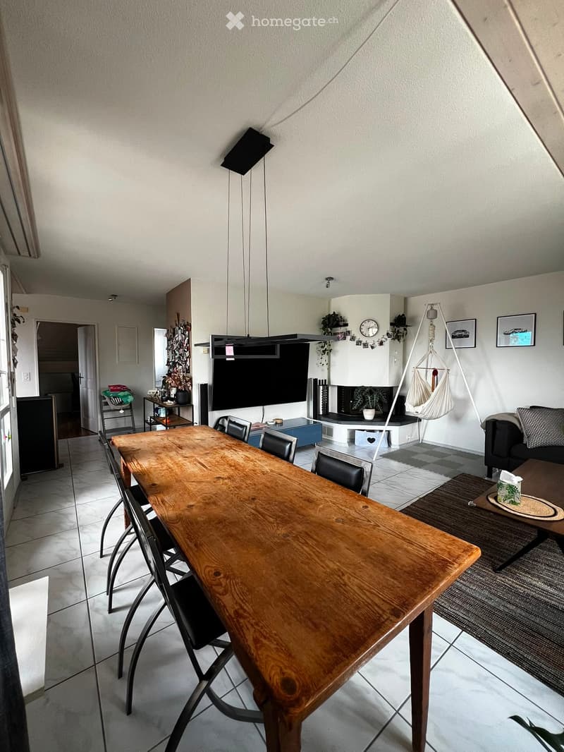 Open-plan living and dining area with a wooden dining table, black dining chairs, a sofa, coffee table, fireplace, TV, and a hanging chair.