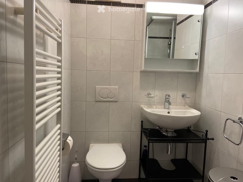 Modern bathroom with a white sink, toilet, mirror, radiator, and towel rack.