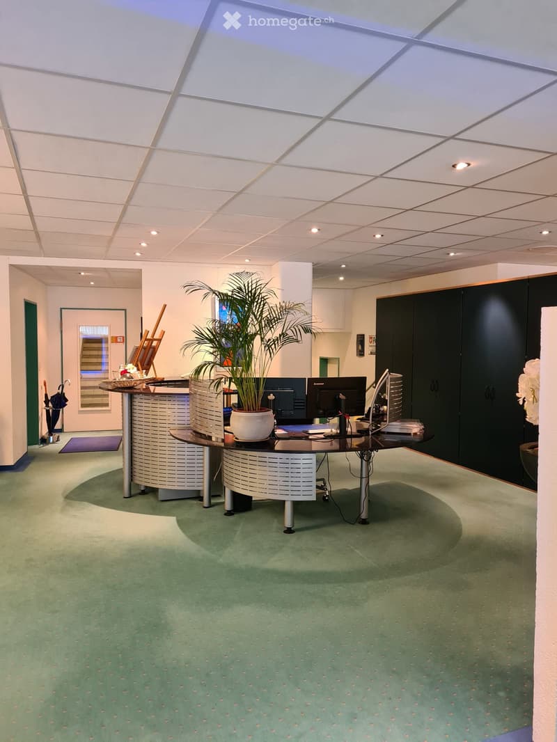 Empty reception area with reception desks, plants, monitors, and carpeted floor.