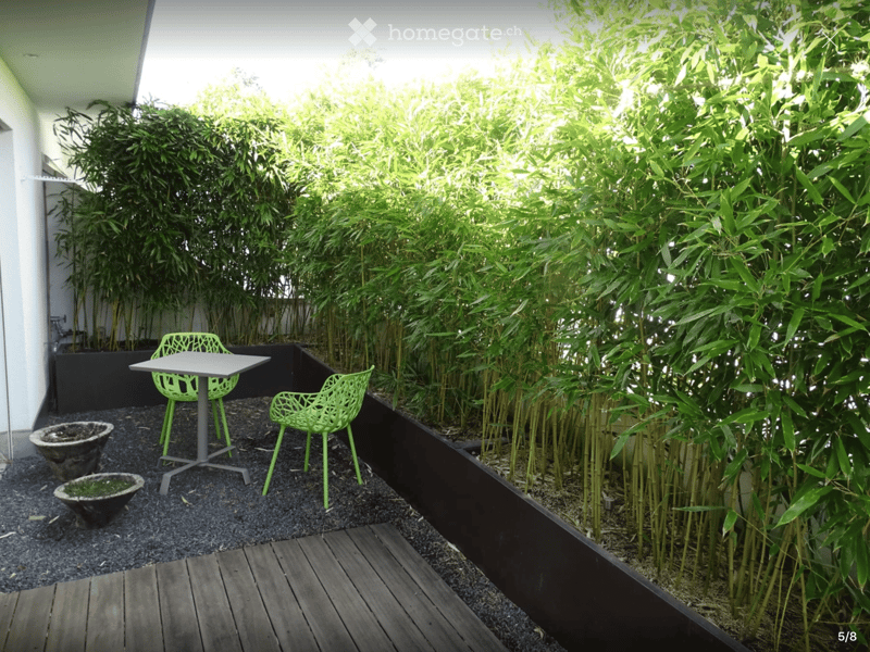 A small outdoor area with a bamboo hedge, a round table, and two green chairs on a gravel surface.