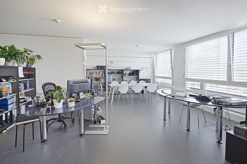 Open space office room, with several tables, chairs, bookshelves, and plants.