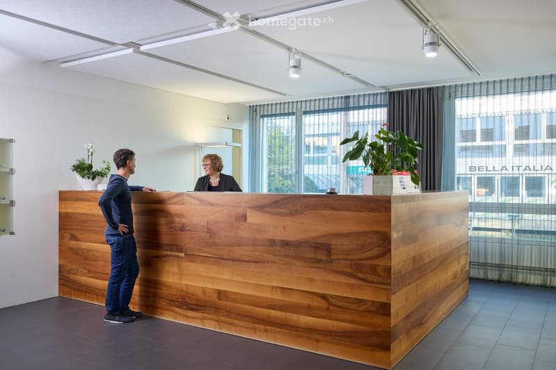 Large wooden reception desk, two standing people, potted plant, large windows, large room
