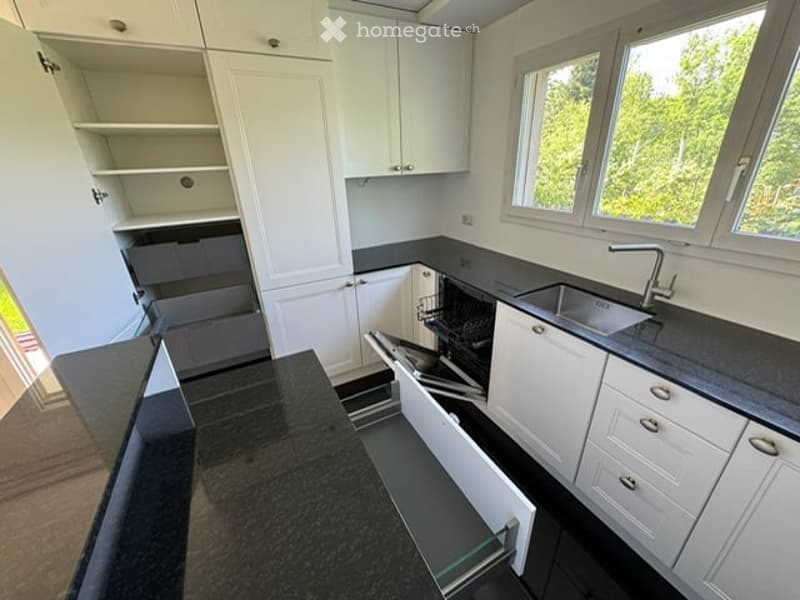 Modern kitchen with white cabinets, black countertops, and stainless steel appliances including a sink, faucet, and dishwasher. The cabinets have soft-close drawers and doors.