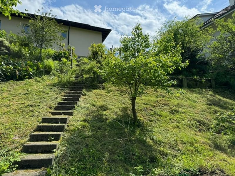 A grassy hillside with a small tree, stone steps leading up to a house, surrounded by greenery and neighboring houses.