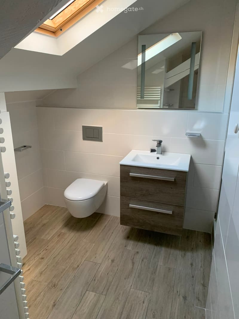 Modern bathroom with wooden flooring, a toilet, a sink with a cabinet, and a large mirror above the sink. The room features a skylight window and light-colored tiles.