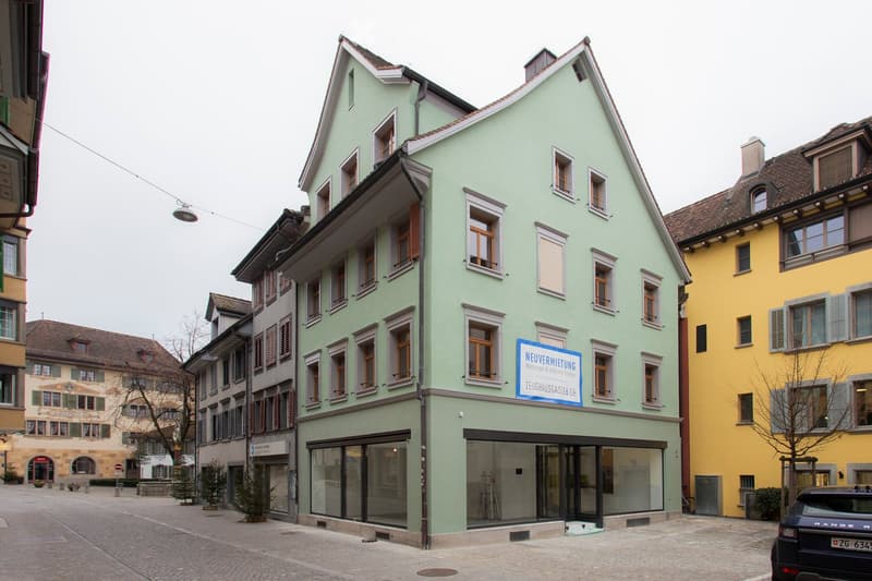 Wohnung in Zug (1)