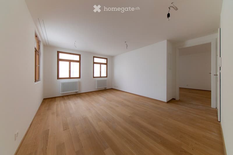 Wohnung in Zug (3)