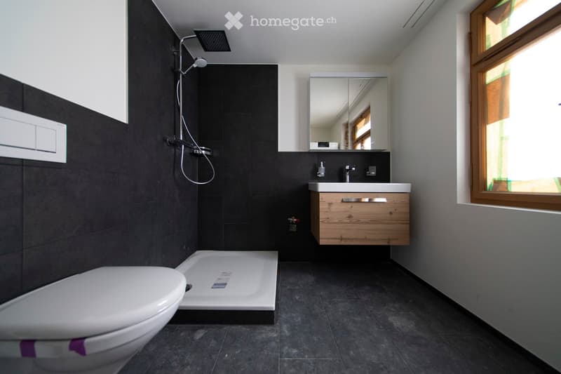 Wohnung in Zug (6)